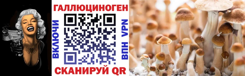 Галлюциногенные грибы Psilocybe  купить  сайты  Новоульяновск 